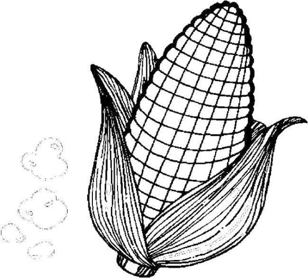 Початок кукурузы раскраска