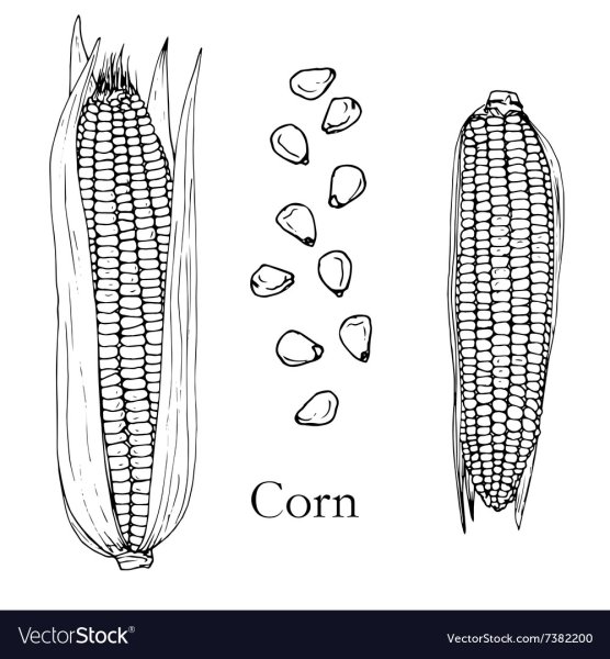 Раскраска сборщик кукурузы