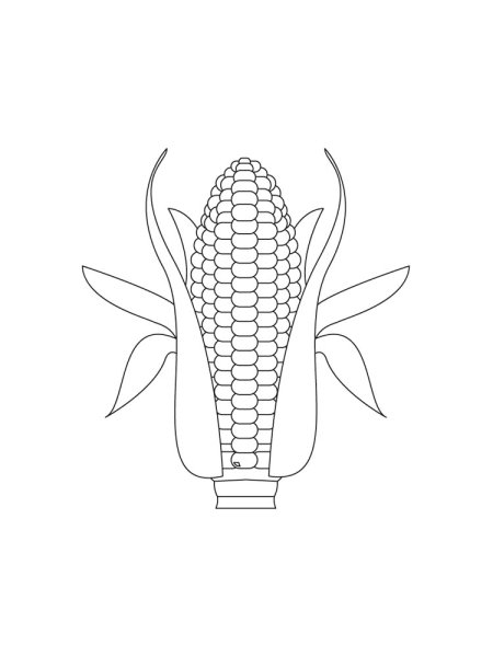 Кукуруза раскраска для детей