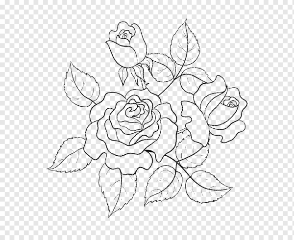 Контурные узоры цветов