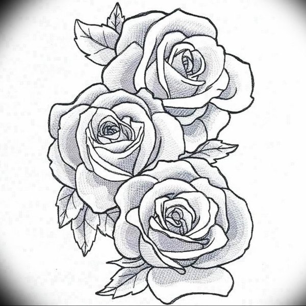 Эскиз тату розы контур