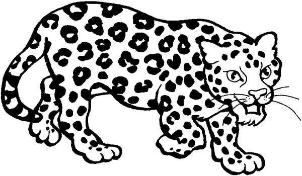 Леопард раскраска для детей