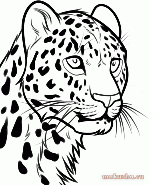 Нарисовать леопарда