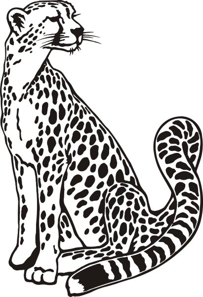 Трафарет гепард