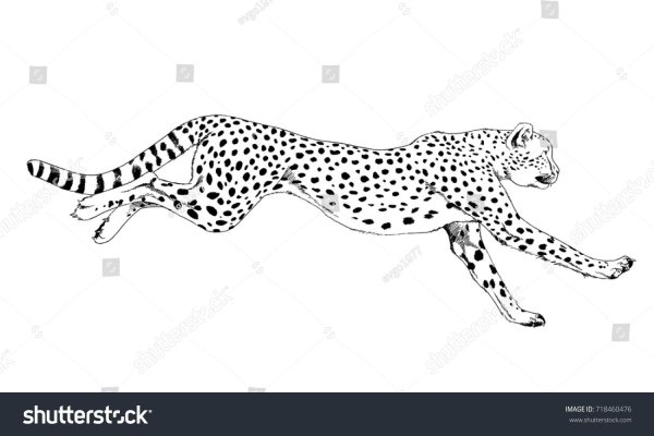 Бегущий гепард тату