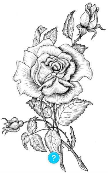 Узоры для выжигания цветы