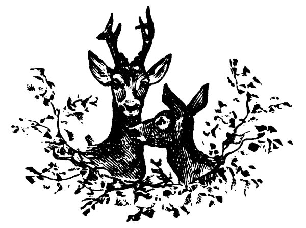 Трафареты для выжигания по дереву