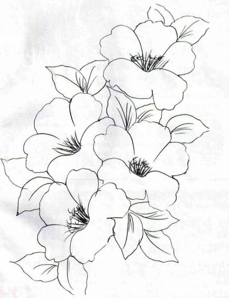 Трафареты цветов для рисования