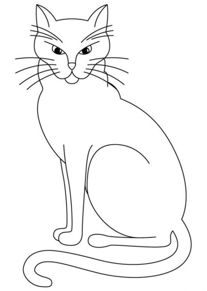 Раскраска кот