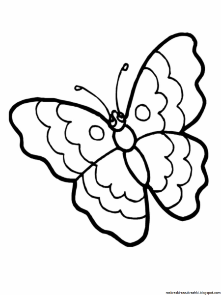 Раскраска "бабочки"