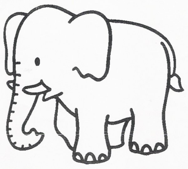 Слон картинка раскраска