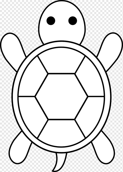 Черепаха раскраска