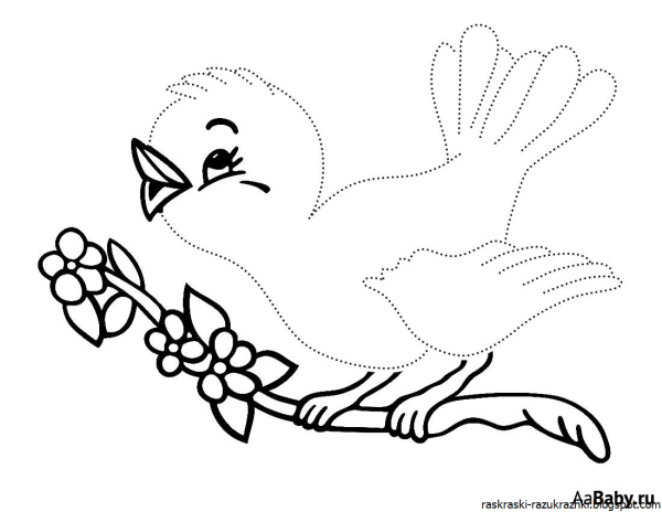 Птицы. Раскраска