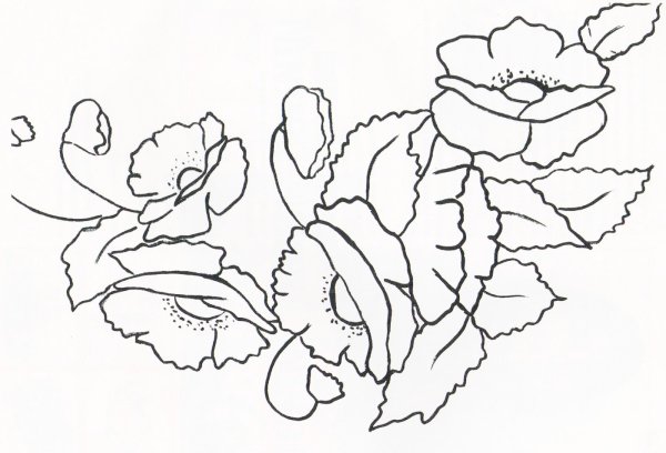 Раскраски цветы красивые