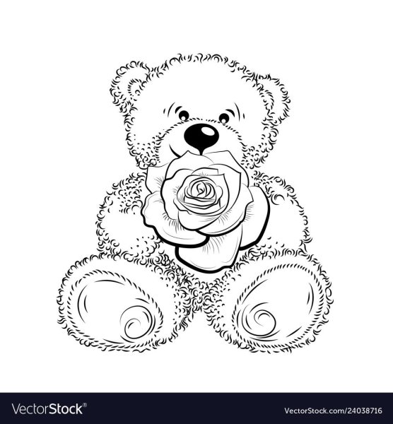Красивый медведь раскраска
