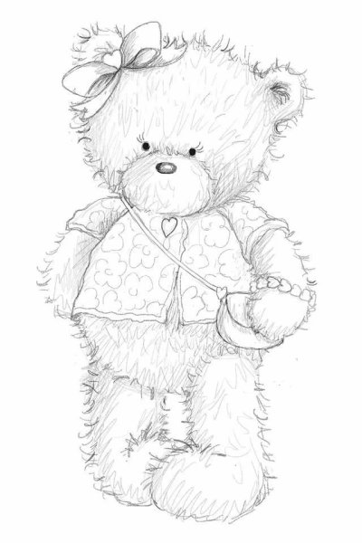 Тедди контур