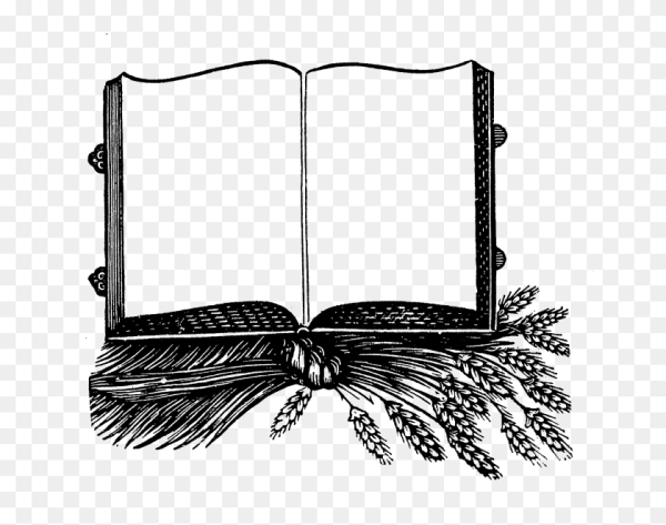 Раскрытая книга