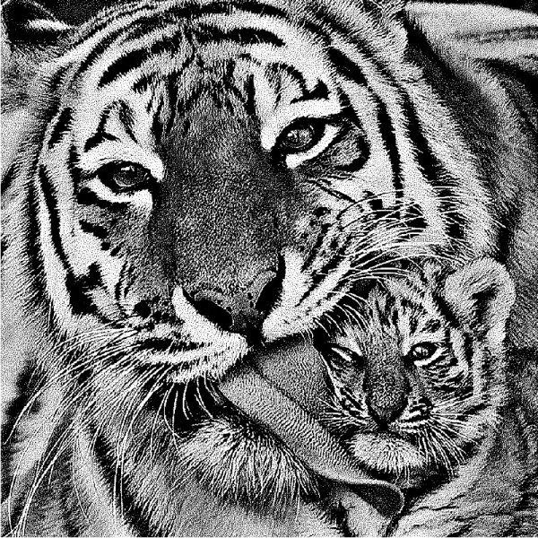 Изображения для гравировки