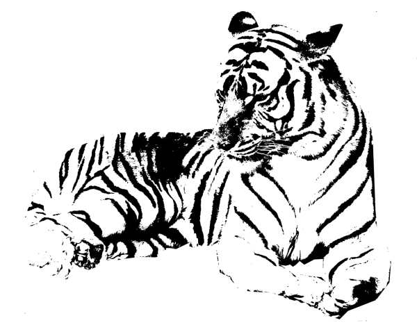 Векторное изображение тигра