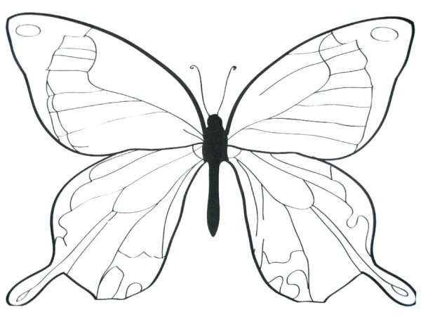 Бабочка раскраска для аппликации