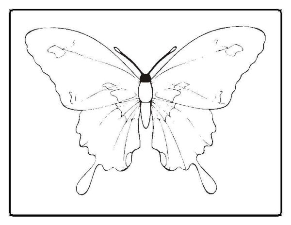 Махаон раскраска для детей