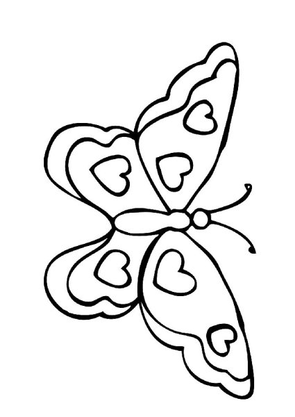Трафарет бабочки для рисования