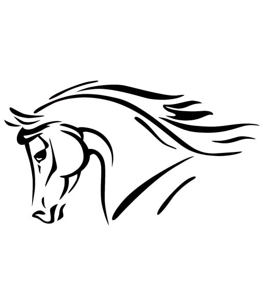 Профиль лошадиной головы