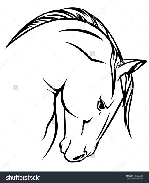 Эскиз головы лошади в профиль