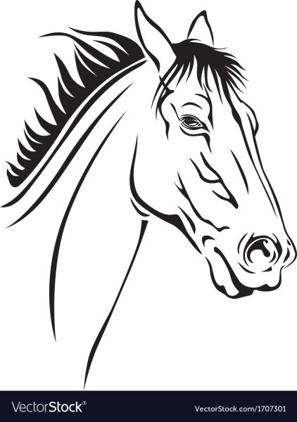 Морда контурная лошадь