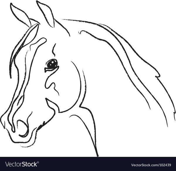 ГЛЛВА лошадимо контуру