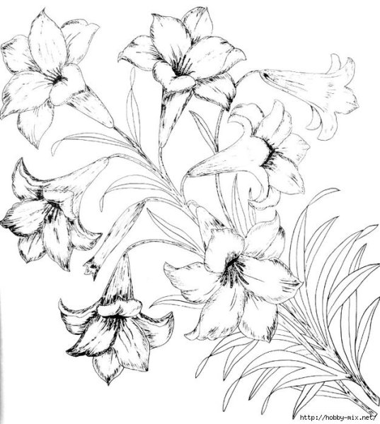 Трафареты цветов для батика