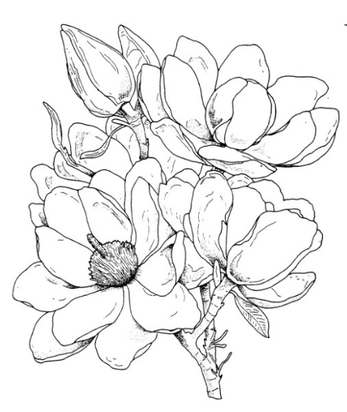 Эскизы для раскрашивания акварелью