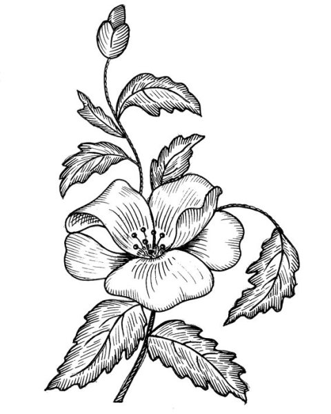 Трафареты цветов для вышивки