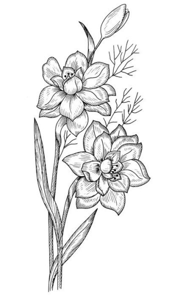 Рисунки цветов для выжигания по дереву