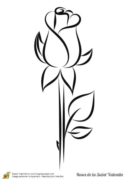 Схематичные рисунки цветов