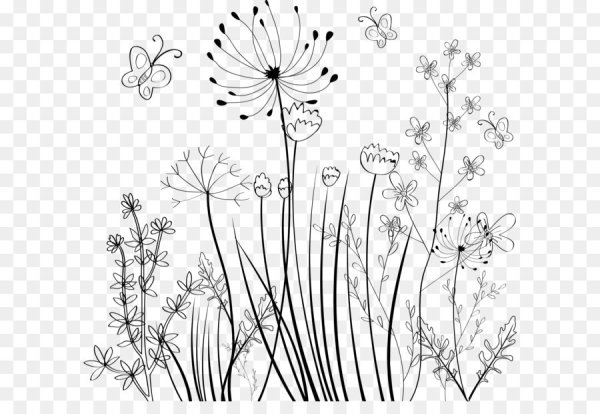 Полевые цветы орнамент