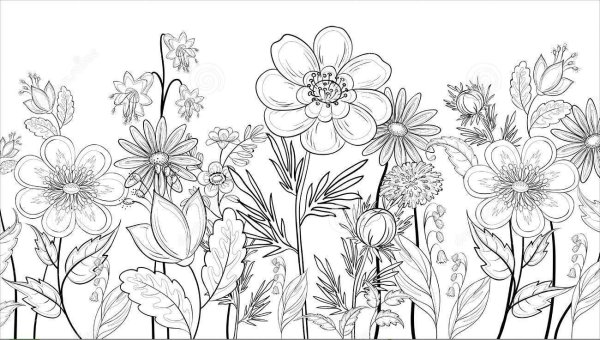 Цветочная Поляна рисунок карандашом