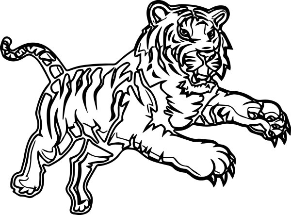 Раскраска тигра