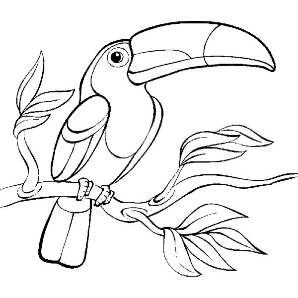 Экзотические птицы раскраска