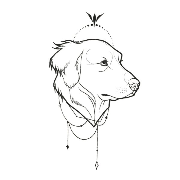 Эскиз собаки