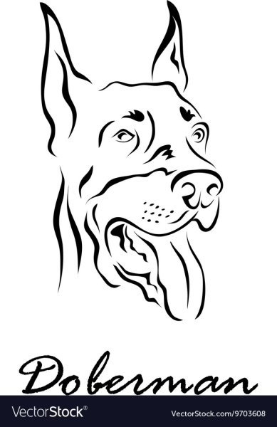 Доберман рисунок контур