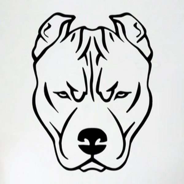 Питбуль карандашом