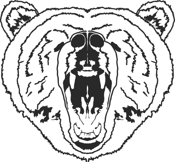 Очертания морды медведя