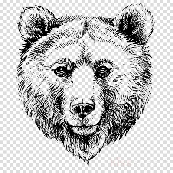 Гравировка медведь