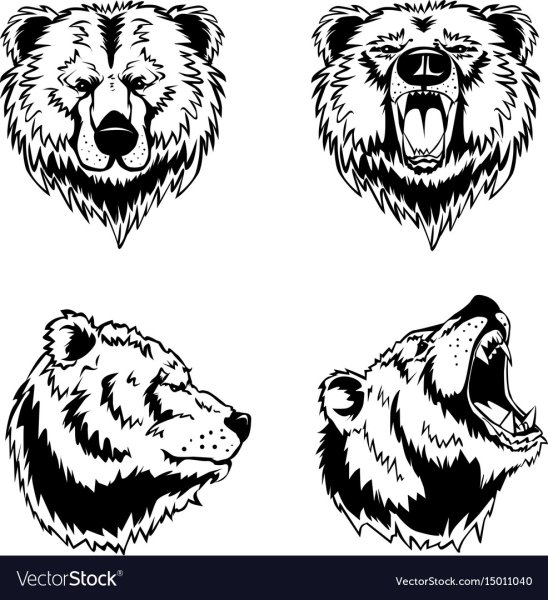 Медведь Векторная Графика