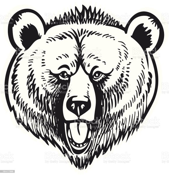 Медведь Графика вектор Гризли