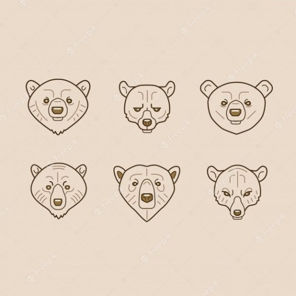 Морда медведя контур