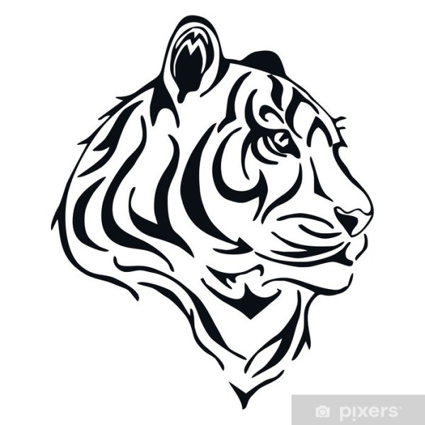 Тигр трафарет
