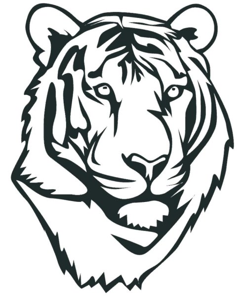 Тигр. Раскраска