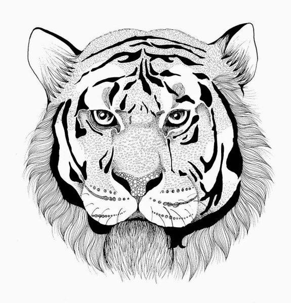 Тигр антистресс